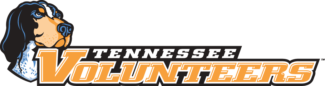 Tennessee Volunteers 2005-Pres Wordmark Logo v4 DIY iron on transfer (heat transfer)